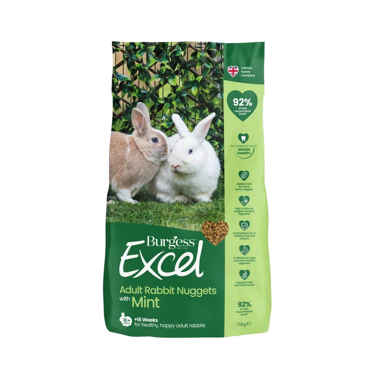 BURGESS EXCEL KÜÜLIKU TÄISSÖÖT MINT 1,5KG