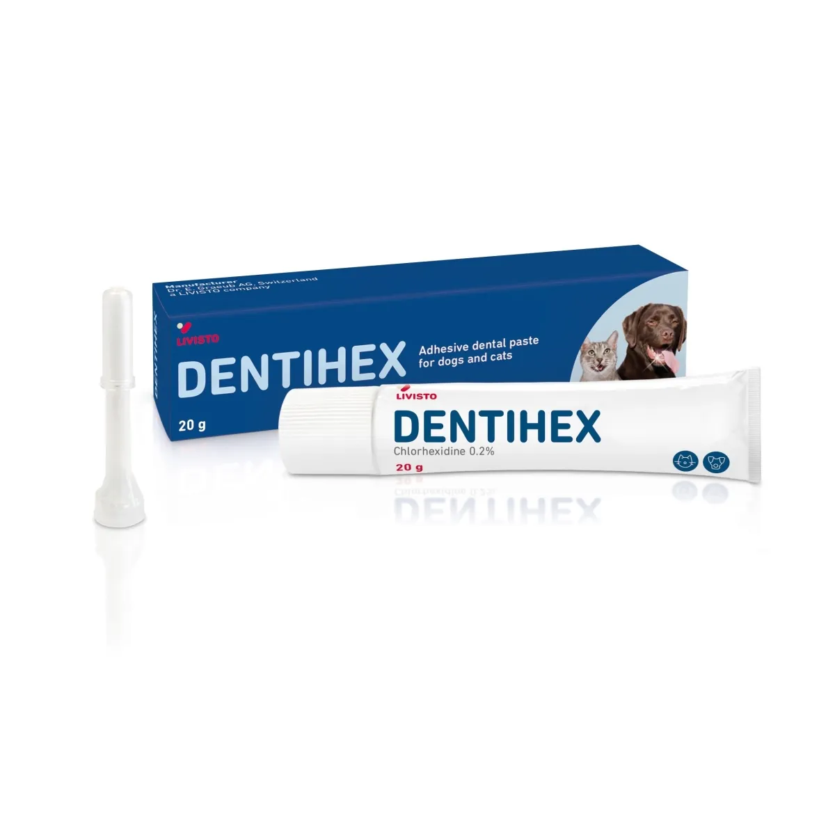 Dentisept зубная паста, 20 г