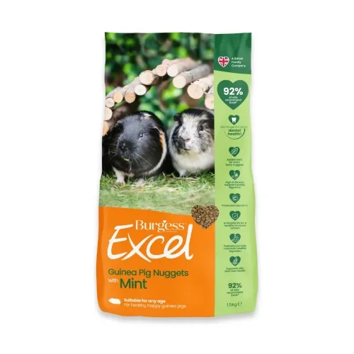 BURGESS EXCEL MERISEA TÄISSÖÖT MINT 1,5KG